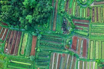 tanah dari pinjaman jaminan sertifikat